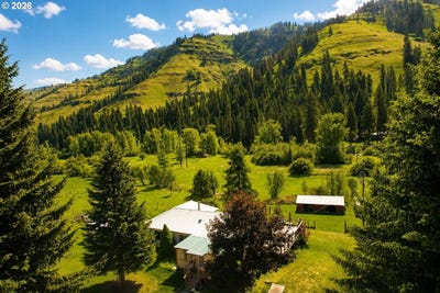 /international/us/59075-upper-imnaha-rver-rd-imnaha-or-110102791989/