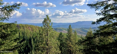 /international/us/1425-upriver-view-dr-fernwood-id-110108343640/