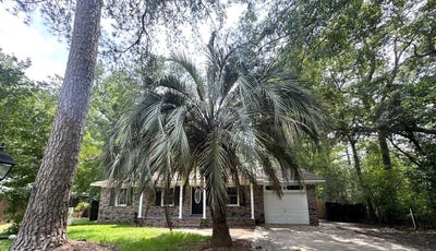 /international/us/510-golf-road-summerville-sc-110100891976/?lang=es