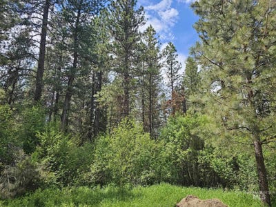 /international/us/caseys-rd-lot-16-17-garden-valley-id-110108498232/