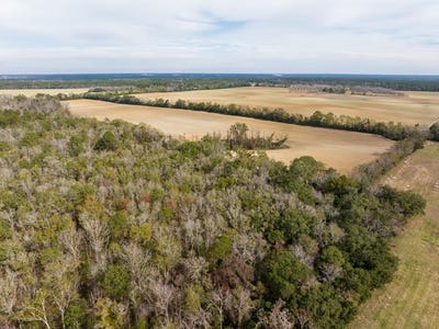 /international/us/madison-hwy-quitman-ga-110104494771/