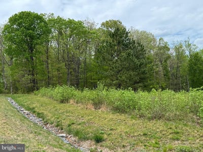 /international/us/lot-64-ark-avenue-bumpass-va-110098964748/?lang=zh-cn