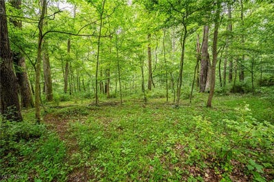/international/us/6991-township-road-555-holmesville-oh-110100800700/?lang=en