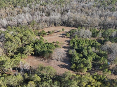 /international/us/county-road-49-tuskegee-al-110104307275/