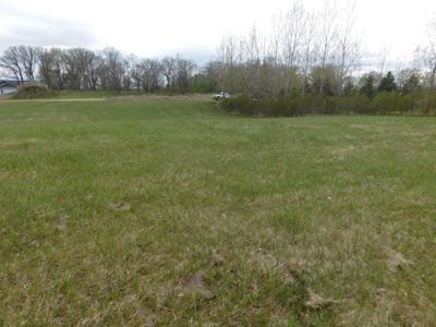 /international/us/434-w-walnut-avenue-frazee-mn-110109118764/