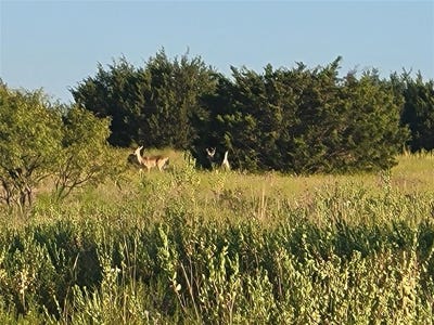 /international/us/lot-115-private-road-16020-jonesboro-tx-110098215210/