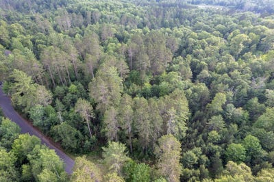 /international/us/lot-19-dads-lake-rd-eagle-river-wi-110100623749/?lang=zh-tw