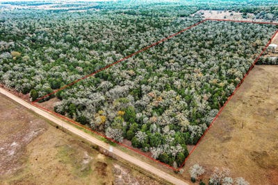 /international/us/24-acres-cr-332-rd-paige-tx-110109954354/