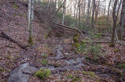 /international/us/36-78-ac-old-hwy-76-morganton-ga-110107378978/
