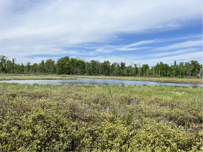/international/us/13384-sorenson-lake-road-merrifield-mn-110108533790/