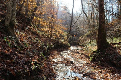 /international/us/0-middle-fork-greasy-creek-road-boons-camp-ky-110103676507/