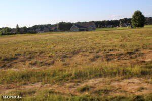 /international/us/25-chapel-hill-subdivision-lot-25-holly-springs-ms-110101939275/