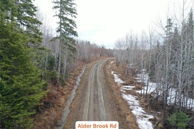 /international/us/m20-l1-alder-brook-road-ashland-me-110099236971/?lang=zh-tw