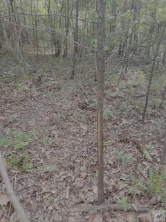 /international/us/1885-co-rd-2342-marietta-tx-110107338645/