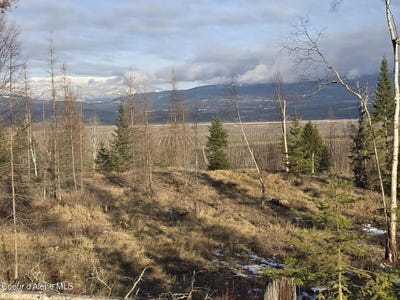 /international/us/nna-west-side-rd-parcel-3-bonners-ferry-id-110096273990/