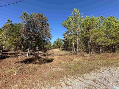 /international/us/county-road-483-lot-0-vincent-al-110103034189/