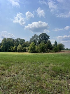 /international/us/tract-2-andrew-rd-unincorporated-tn-110102216509/