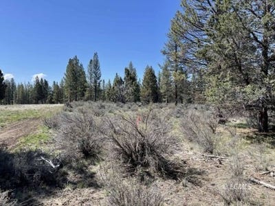 /international/us/nfd-road-44-chiloquin-or-110100334462/