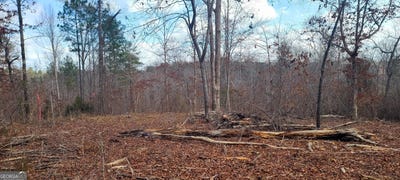 /international/us/892-forrester-cemetery-covington-ga-110094961936/?lang=zh-cn