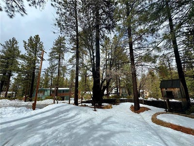 /international/us/41763-switzerland-drive-big-bear-lake-ca-110090421307/