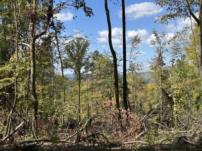 /international/us/crane-school-road-lot-3-terra-alta-wv-110104873357/