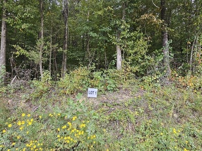/international/us/lot-1-doll-branch-road-milton-nc-110094603904/?lang=zh-cn