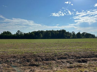 /international/us/lot-6-7-2-ac-willie-varnum-rd-cottonwood-al-110095109571/?lang=zh-tw