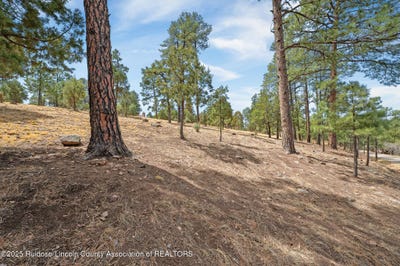 /international/us/twin-tree-loop-lot-19-alto-nm-110119995223/