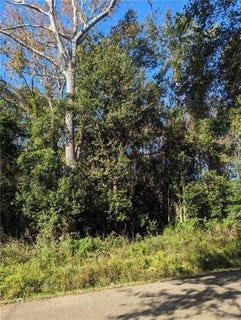 /international/us/lot-4-frederick-drive-slidell-la-110101075024/?lang=id