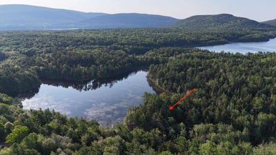 /international/us/0-red-spruce-way-mount-desert-me-110100396141/