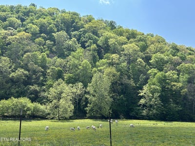 /international/us/trent-valley-rd-sneedville-tn-110120157638/