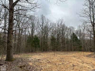 /international/us/raby-road-lot-3-harrisburg-ar-110107686852/