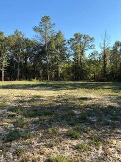 /international/us/good-hope-rd-dozier-al-110101141364/