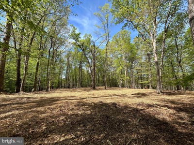 /international/us/12636-mill-dam-drive-clifton-va-110100420762/?lang=zh-tw