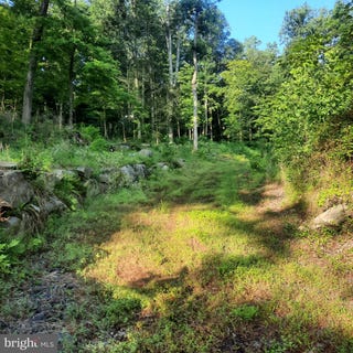 /international/us/5968-state-park-road-pipersville-pa-110109794675/