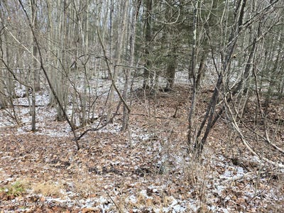 /international/us/l77-eastwoods-road-tunkhannock-pa-110096639679/?lang=zh-tw
