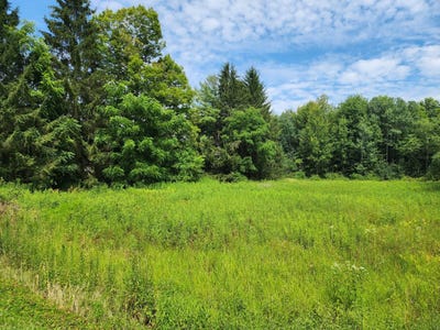 /international/us/0-school-st-findley-lake-ny-110101392399/