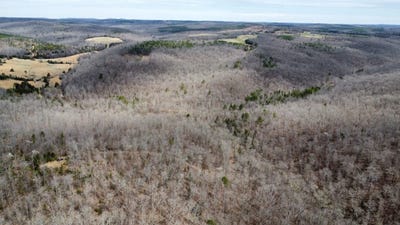 /international/us/tbd-holley-mountain-road-clinton-ar-110108553037/