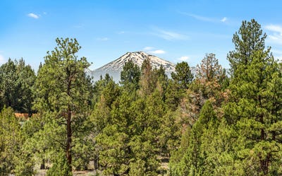/international/us/60148-stirling-drive-bend-or-110100986930/