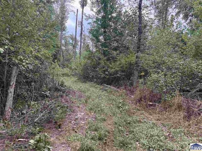/international/us/sr-246-patricksburg-in-110120014634/
