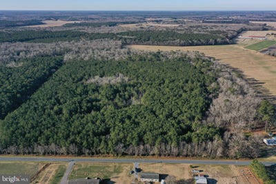 /international/us/bent-pine-road-willards-md-110104302882/