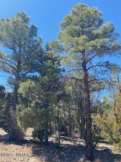 /international/us/2600-n-eagle-view-circle-show-low-az-110098271384/?lang=en