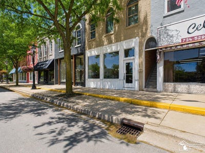 /international/us/116-tecumseh-street-dundee-mi-110108658685/