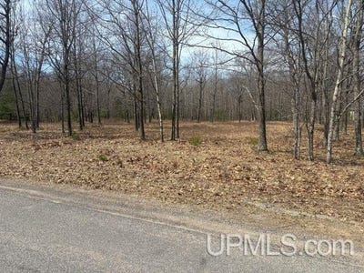 /international/us/62-oak-drive-avenue-gladstone-mi-110107543972/