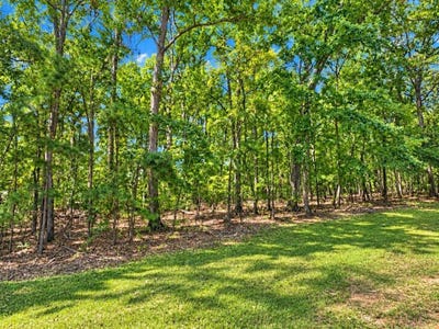 /international/us/briar-creek-cv-lot-495-counce-tn-110120003752/