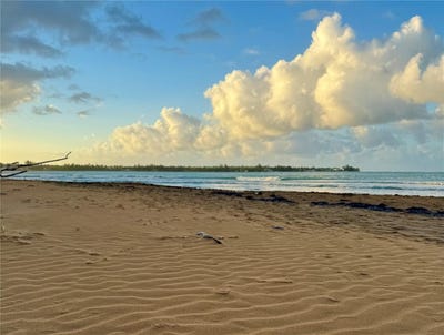 /international/us/-camino-de-las-picuas-rio-grande-pr-110102895753/