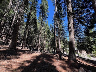 /international/us/84-yonkalla-trail-lot-249-graeagle-ca-110106259582/