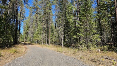 /international/us/385x-agar-rd-loon-lake-wa-110110229705/