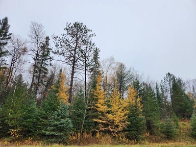 /international/us/state-highway-86-lot-prt-of-sw-nw-ogema-wi-110105315671/