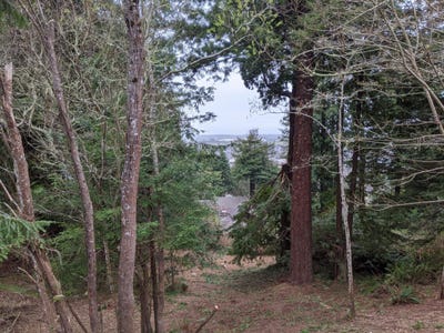 /international/us/2950-terrace-avenue-arcata-ca-110107192719/